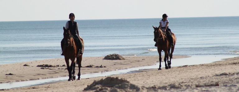 Sussex Beach Rides